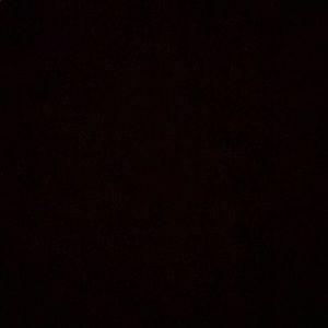 Meet your Posher, Kaylin